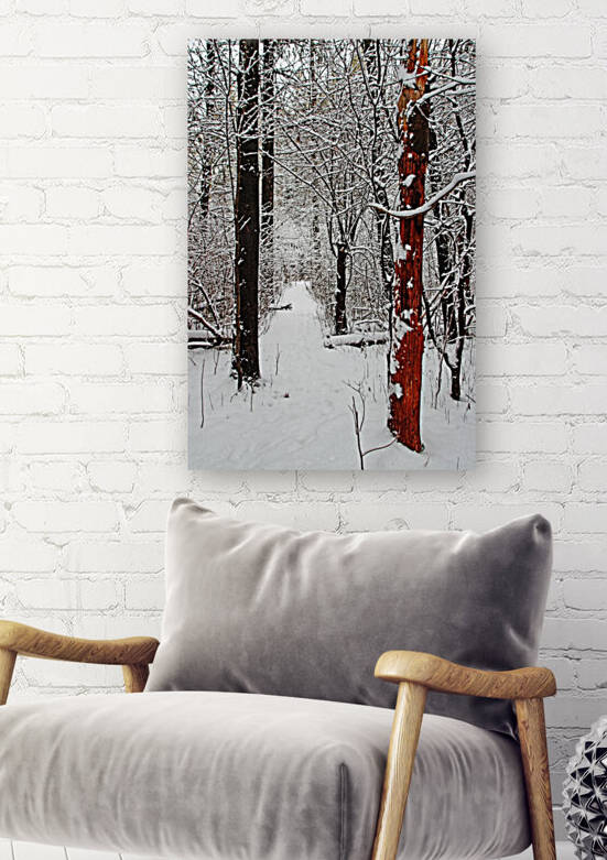 Decked In Snow by Deb Oppermann