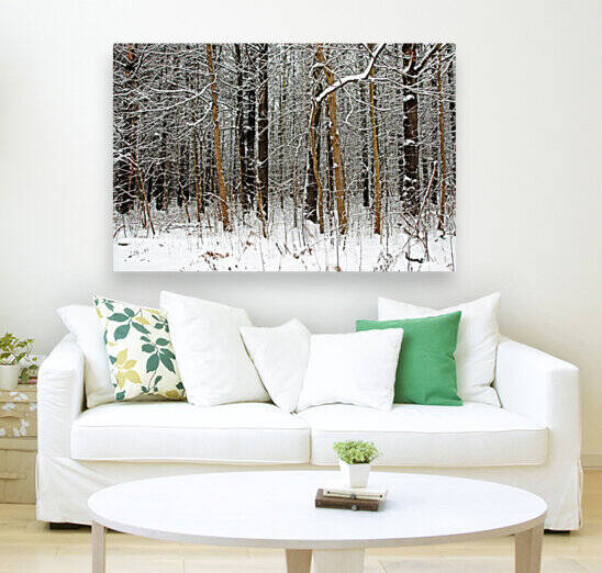 The Browns Of Winter by Deb Oppermann