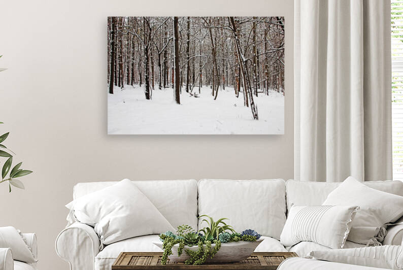 The Browns Of Winter I by Deb Oppermann