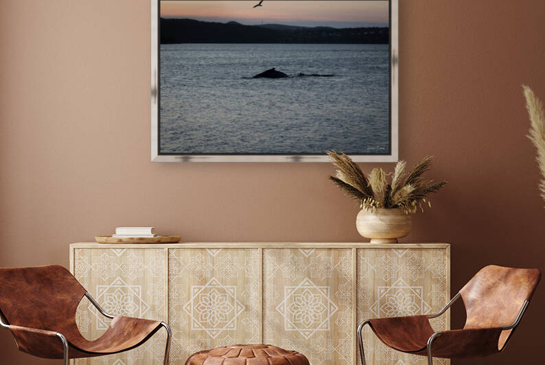 Whale  by Dawn Evans