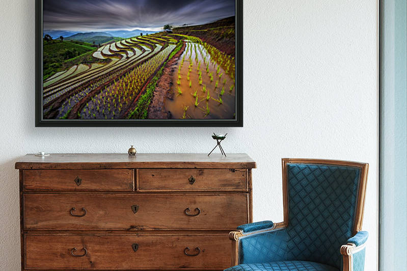 Unseen Rice Field by 1x