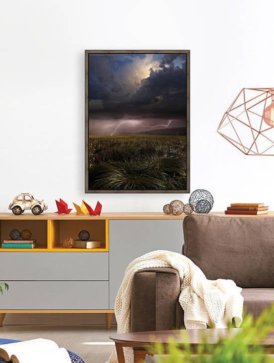 Summer Lights by Franz Schumacher  by 1x