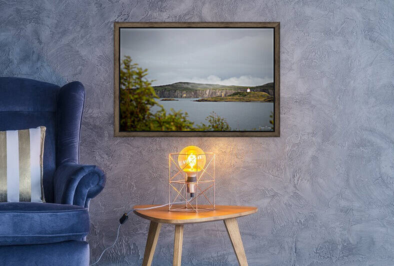 Trinity by Dawn Evans