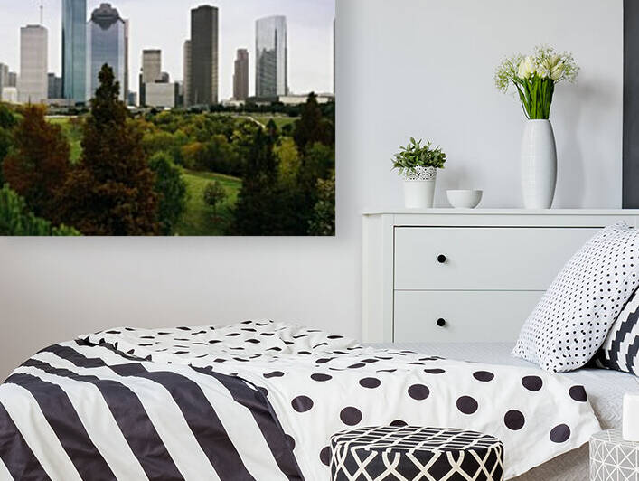 Houston  Texas skyline 3 by Tony Tudor