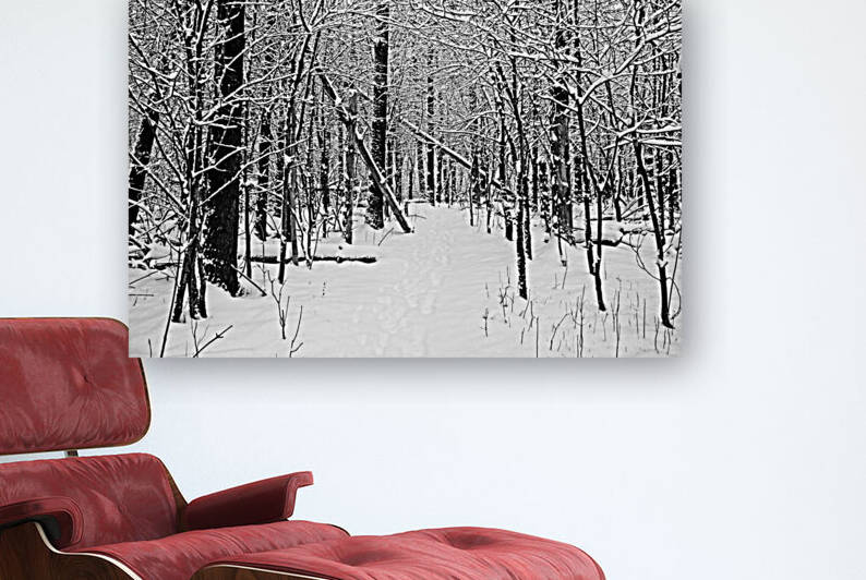 Cold And Crisp Black And White by Deb Oppermann