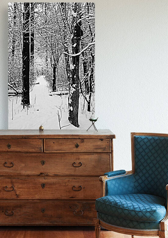 Decked In Snow Black And White by Deb Oppermann