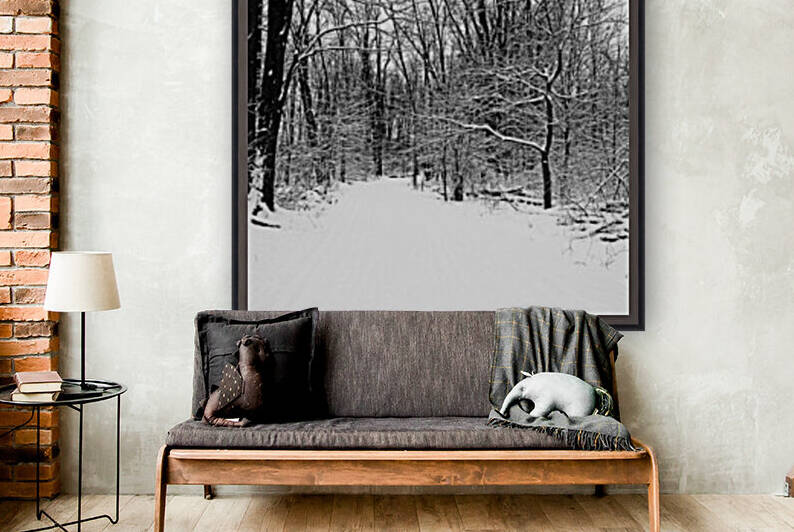 Walking A Winter Trail Black And White by Deb Oppermann