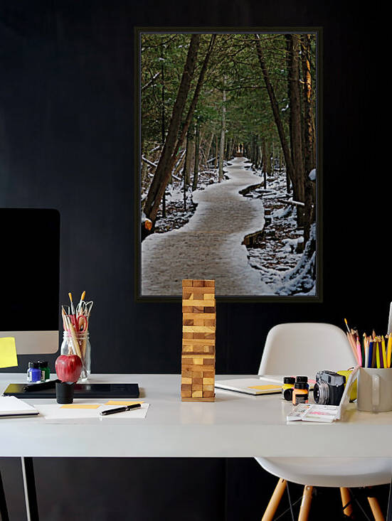 Meandering Winter Boardwalk by Deb Oppermann