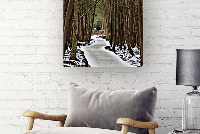 Over The Winter Wetland by Deb Oppermann