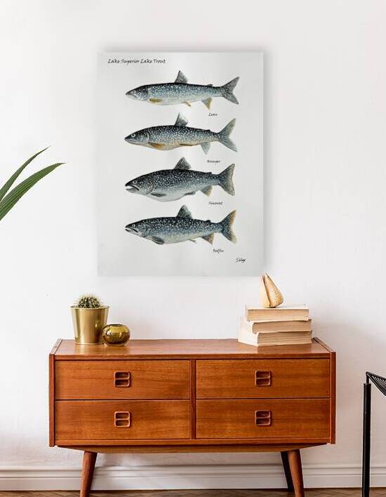 Lake Superior Lake Trout Painting by Stephen Emms