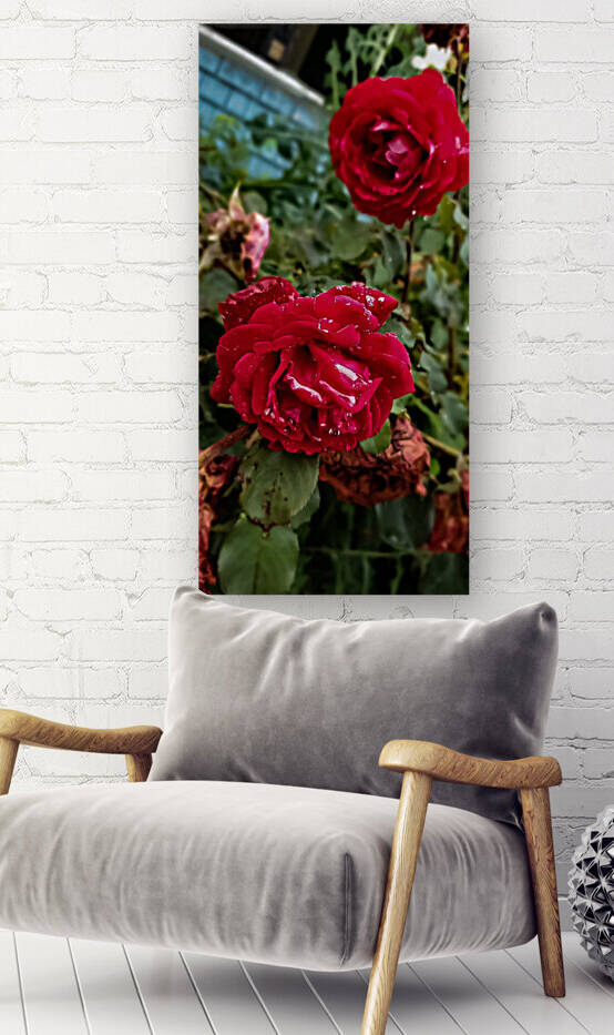 Snapchat 787417573 by Michael Silva