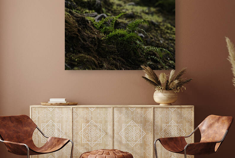  DSC7082smallerbutbigger by Split Imagery