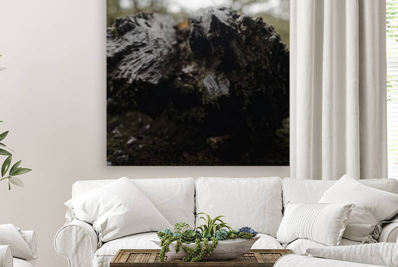  DSC7102smallerbutbigger by Split Imagery