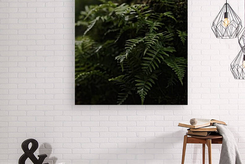  DSC7086smallerbutbigger by Split Imagery