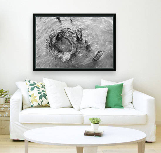 Stump by Ashleigh Clack