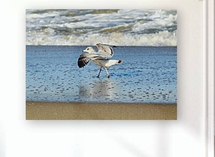 Decision to Fly or Stay by The NC Geek