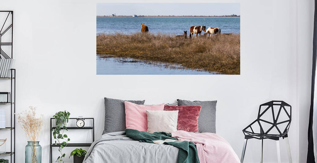 Wild Horses ap 2800 by Artistic Photography