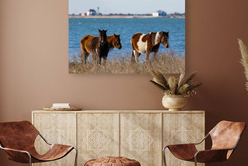 Wild Horses ap 2796 by Artistic Photography