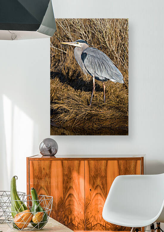 Great Blue Heron ap 2741 by Artistic Photography