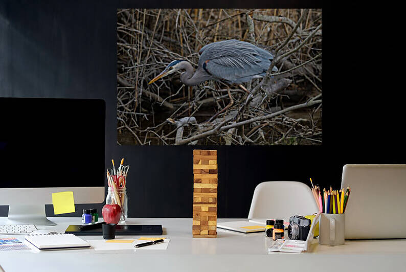 Great Blue Heron ap 2747 by Artistic Photography