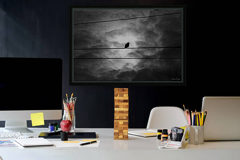 Crow in the spotlight by Dawn Evans