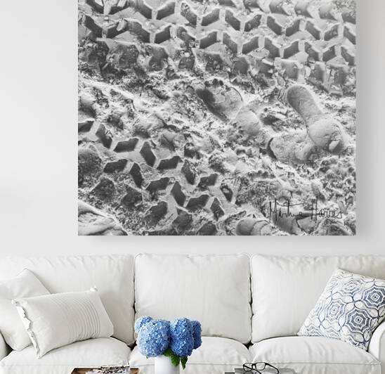 Moonlight shadow . by Martine Harris