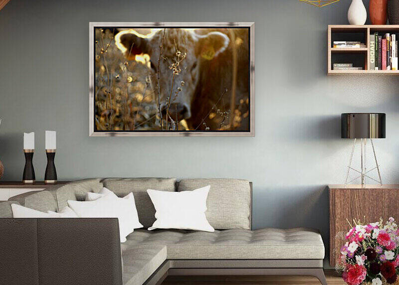 20201228 170432 by Amy Chapman