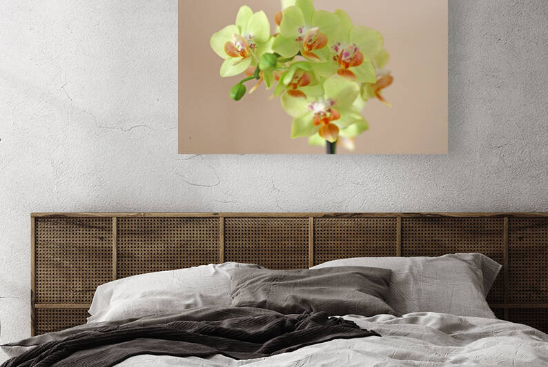 Lemon Lime Orchid by Deb Oppermann