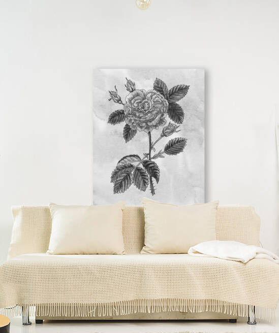 Garden Rose Simple Gray Botanical Flower On Watercolor Marble  by Irina Sztukowski