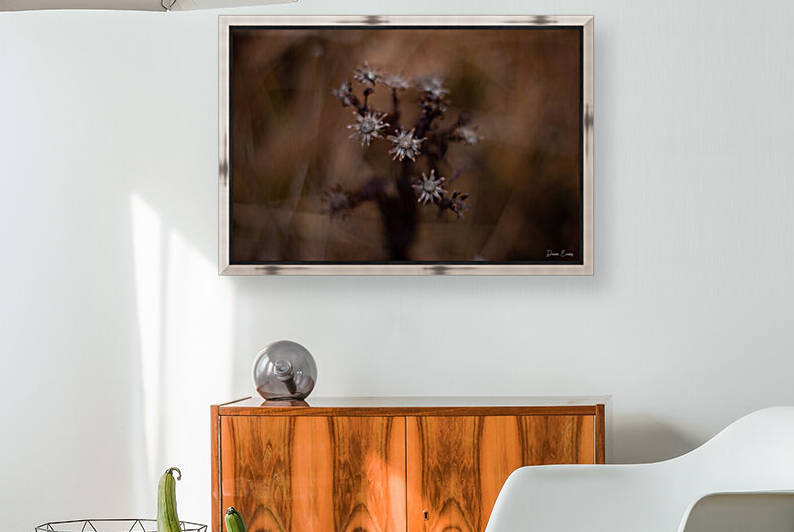 Winter flowers by Dawn Evans