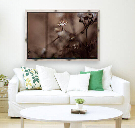 Winter flowers by Dawn Evans