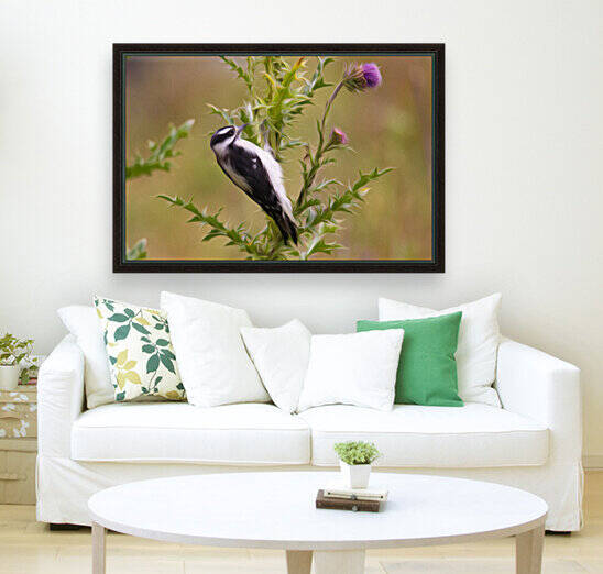 A Precarious Perch by Stephen Taylor