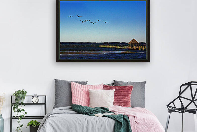 Canada Geese at Northside Park by Bill Swartwout Photography