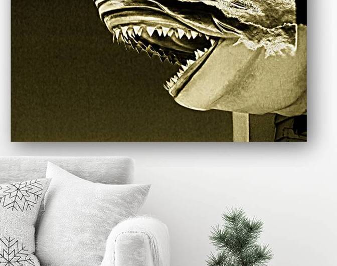 Golden Shark in Ocean City by Bill Swartwout Photography