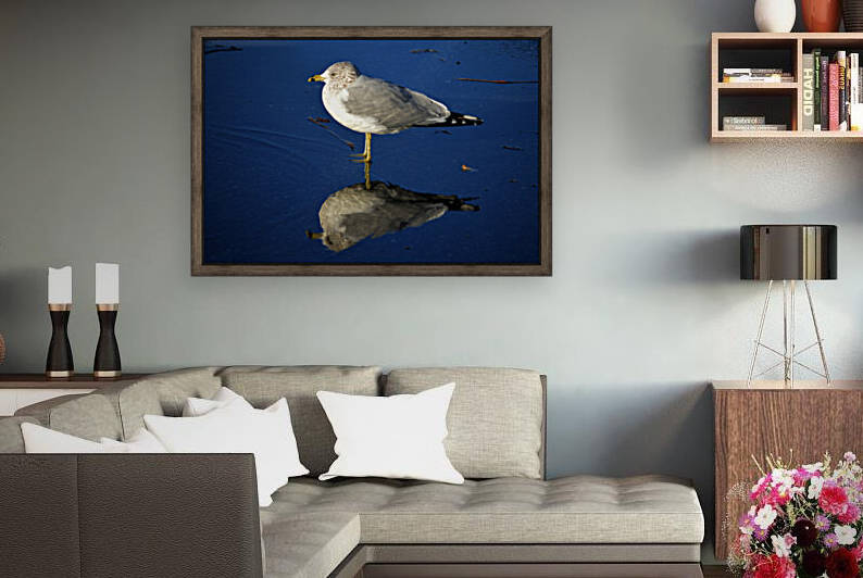 Seagull Wading Reflection at the Beach by Bill Swartwout Photography