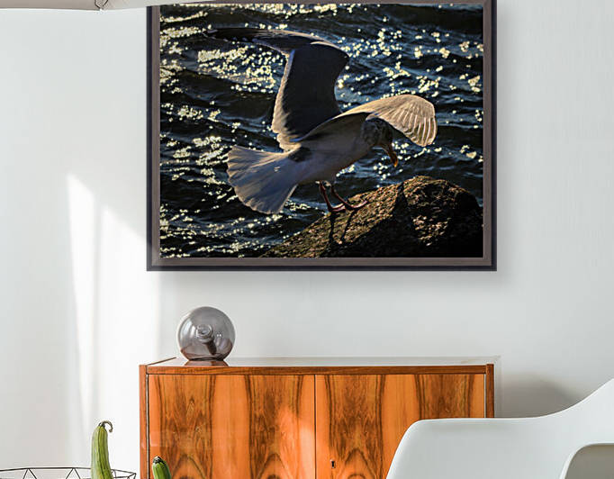 Seagull Wing Detail at the Ocean City Inlet by Bill Swartwout Photography