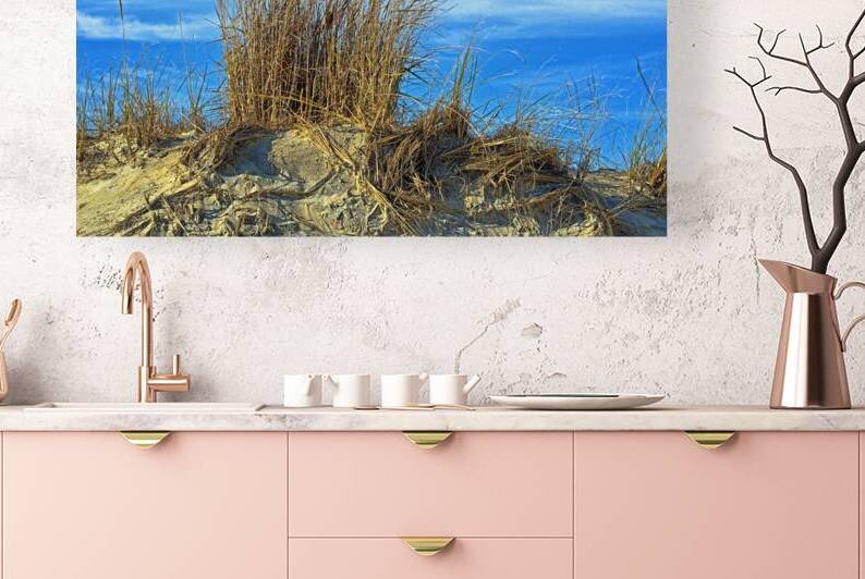 Dune Grass above an Atlantic Ocean Beach by Bill Swartwout Photography