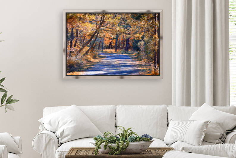 Long and Winding Road at Gordons Pond by Bill Swartwout Photography