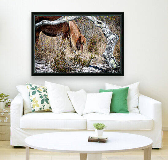 Lunchtime for Assateague Pony Gokey Go Go Bones by Bill Swartwout Photography