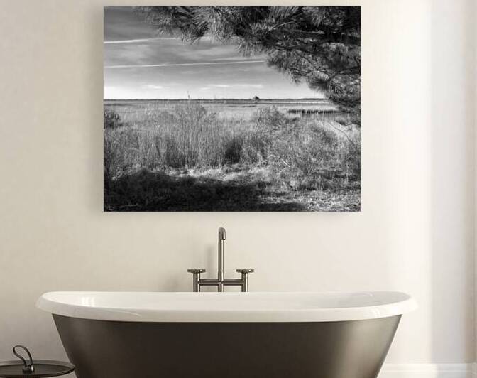 Northside Park Pier and Marsh in Black and White by Bill Swartwout Photography