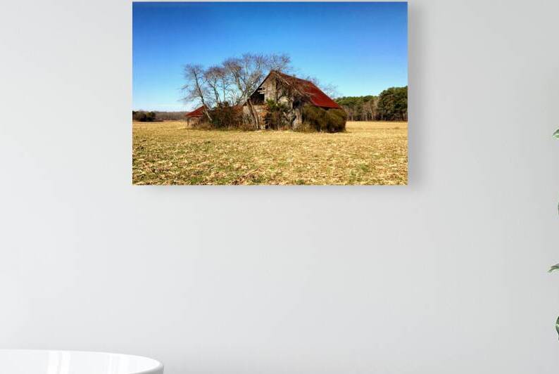 Abandoned Farmhouse and Barn in Williamsville DE by Bill Swartwout Photography