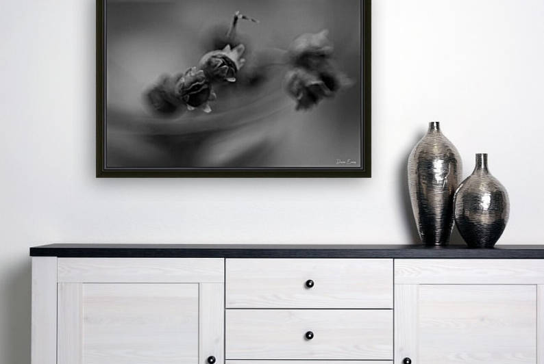 Winter flowers by Dawn Evans