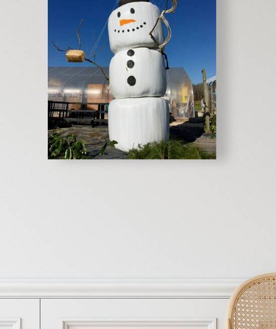 Hay Bale Snowman by Bill Swartwout Photography