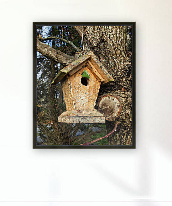 Birdhouse Home for the Holiday by Bill Swartwout Photography
