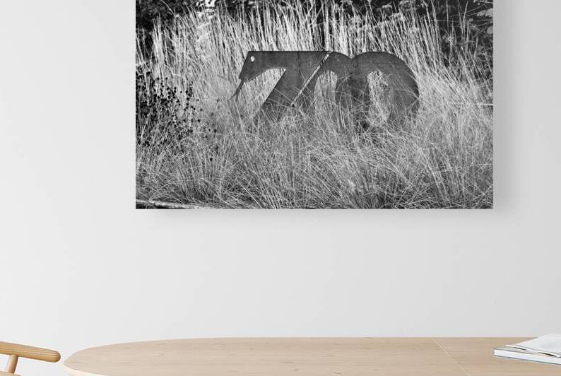 Zoo Sign Salisbury Black and White by Bill Swartwout Photography