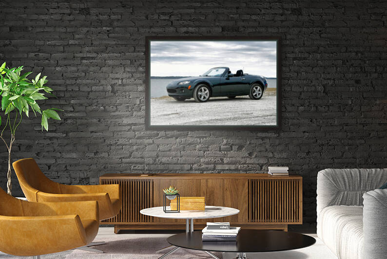 Miata Under the Brush at Assateague Island by Bill Swartwout Photography