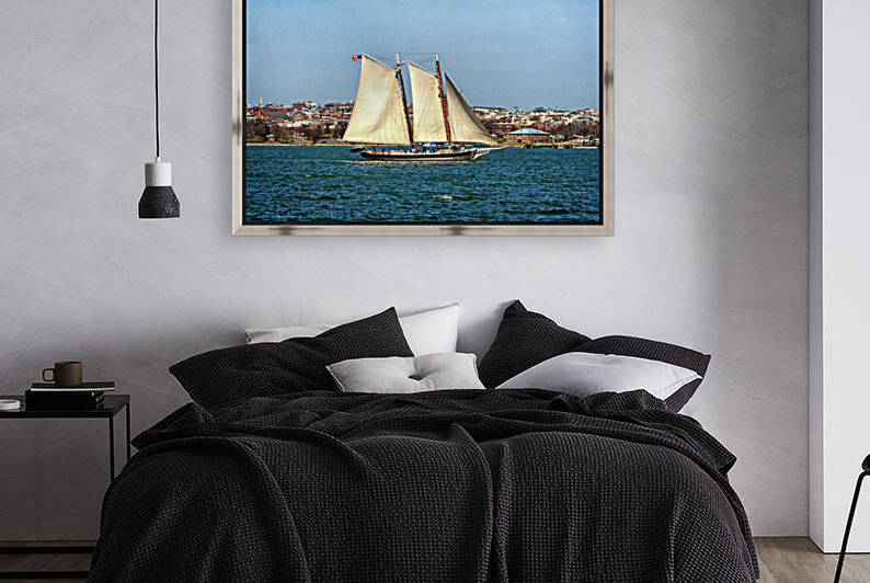 Pungy Schooner Lady Maryland Sailing in the Baltimore Harbor by Bill Swartwout Photography