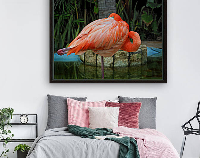 Peekaboo Flamingo 2130209 by Bill Swartwout Photography