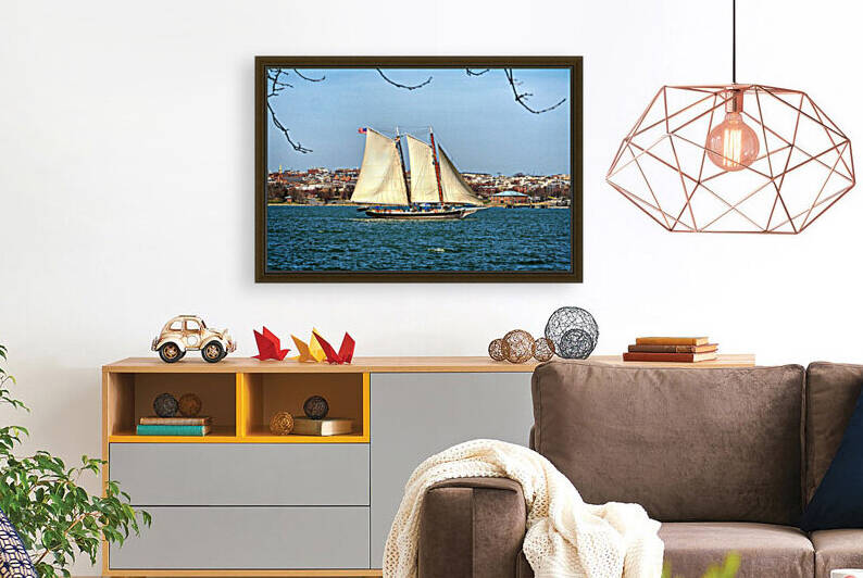 Lady Maryland Pungy Schooner in Baltimore Harbor 3280610 by Bill Swartwout Photography