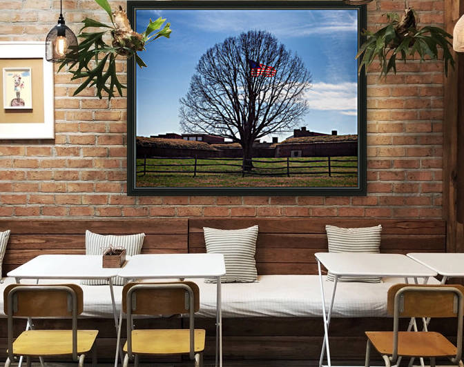American Flag Tree Fort McHenry 3280664 by Bill Swartwout Photography